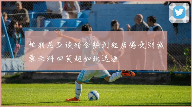 帕利尼亚谈转会热刺经历感受到诚意未料回英超如此迅速